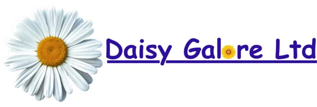 Daisy Galore Ltd